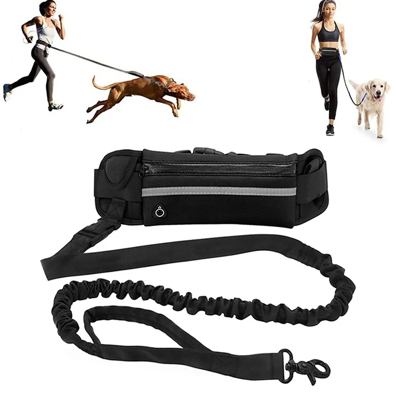 Hands Free Dog Leash for Runni - Running Gear Holder 评论和价格