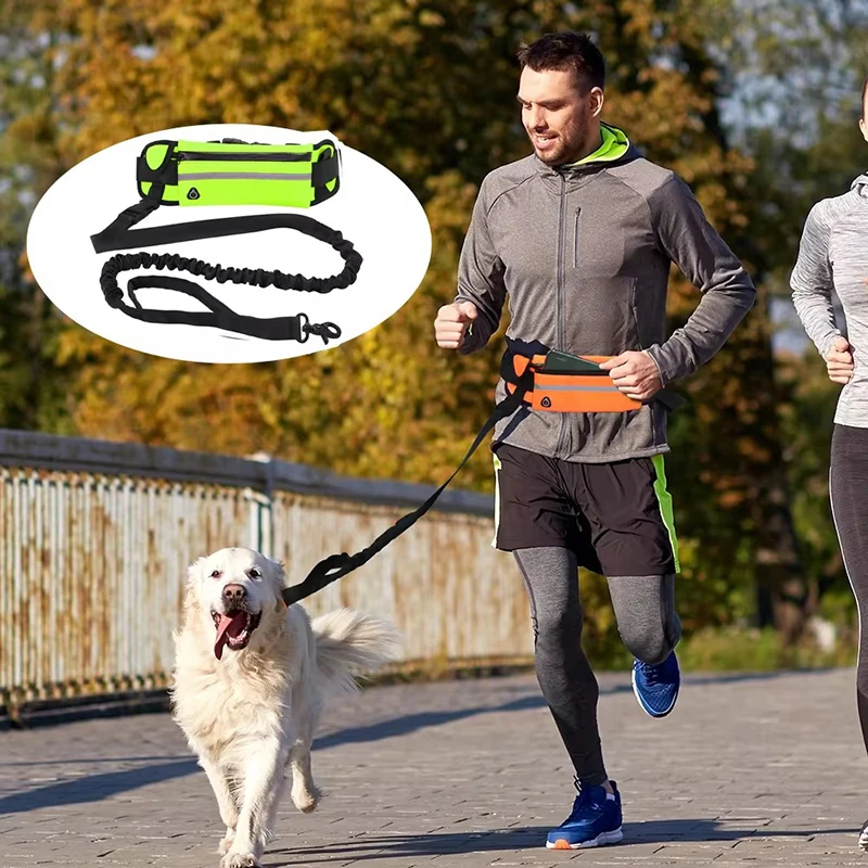 Hands Free Dog Leash for Runni - Running Gear Holder 评论和价格