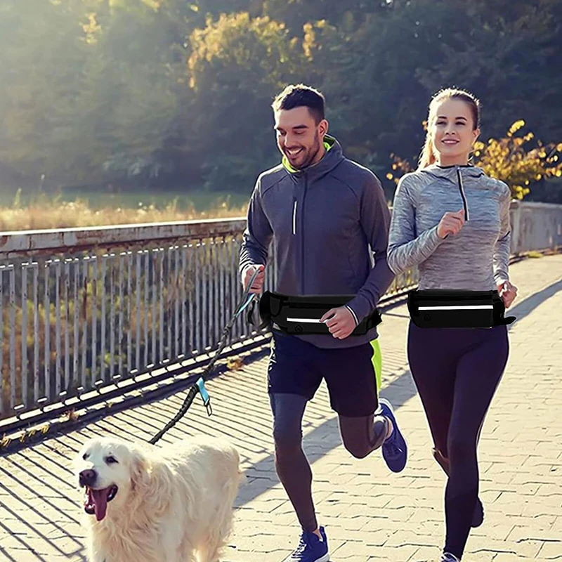Hands Free Dog Leash for Runni - Running Gear Holder 评论和价格
