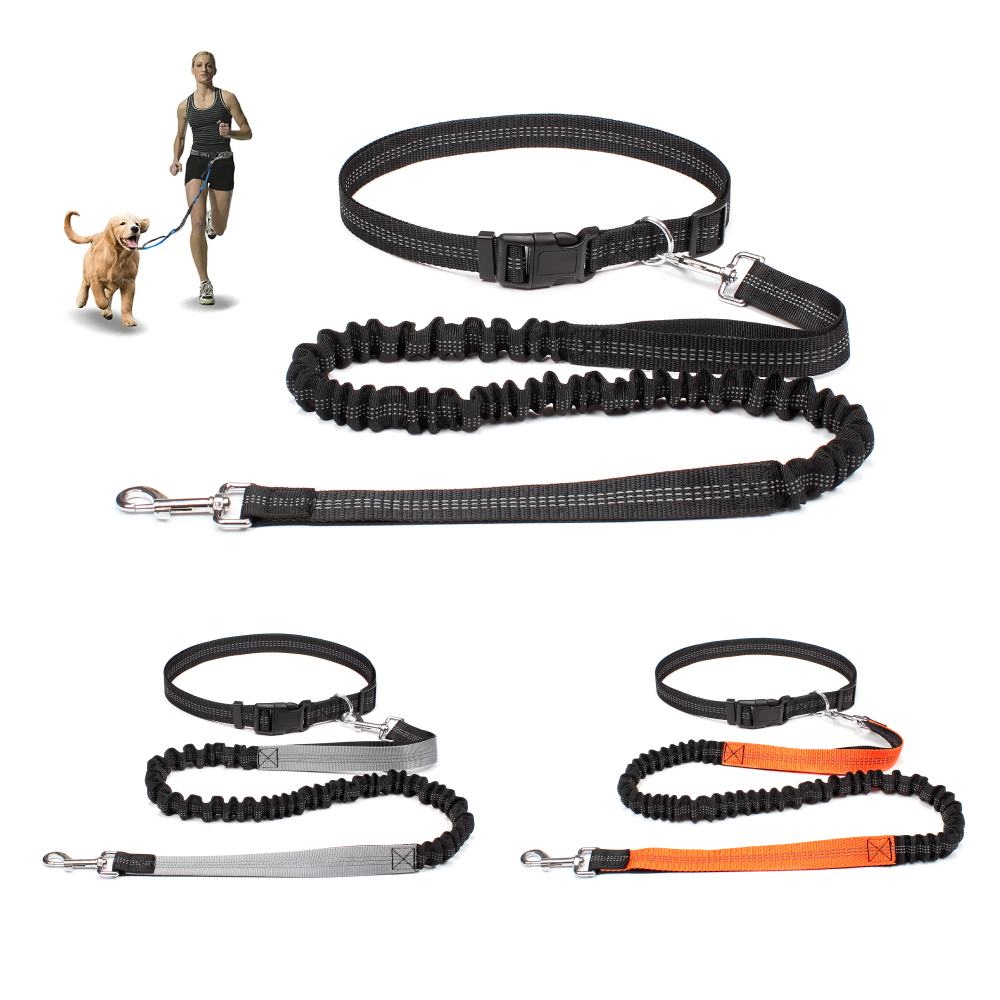 Hand Free Dog Leash for Pet Wa - Running Gear Holder 评论和价格