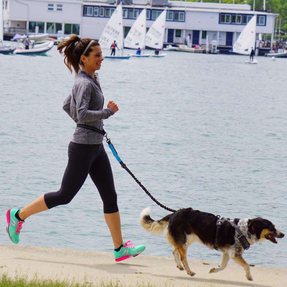 Hand Free Dog Leash for Pet Wa - Running Gear Holder 评论和价格