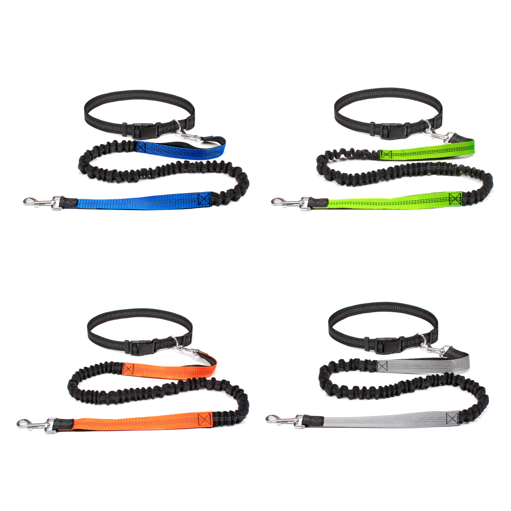 Hand Free Dog Leash for Pet Wa - Running Gear Holder 评论和价格