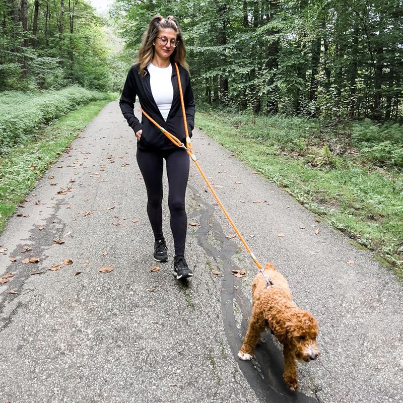 Reflective Hands-Free Dog Leas - Running Gear Holder 评论和价格