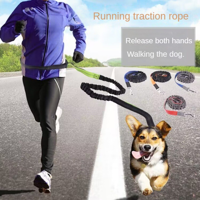 Hand Free Dog Leash for Pet Wa - Running Gear Holder 评论和价格