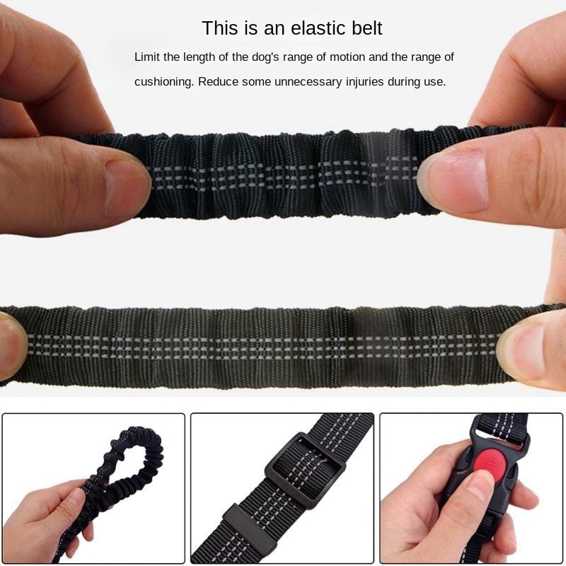 Hand Free Dog Leash for Pet Wa - Running Gear Holder 评论和价格