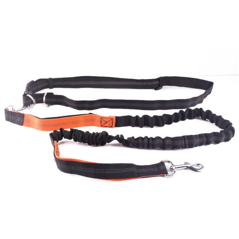 Hand Free Dog Leash for Pet Wa - Running Gear Holder 评论和价格