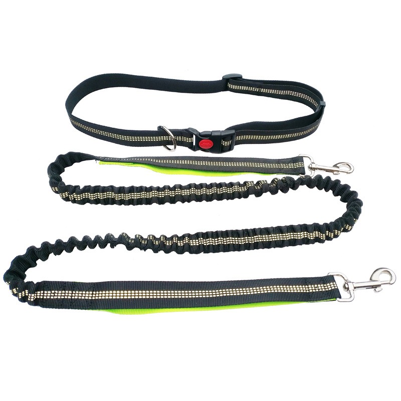 Hand Free Dog Leash for Pet Wa - Running Gear Holder 评论和价格